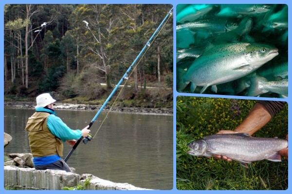 equipamiento de pesca para pescar salmon