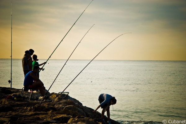 pesca rockfishing